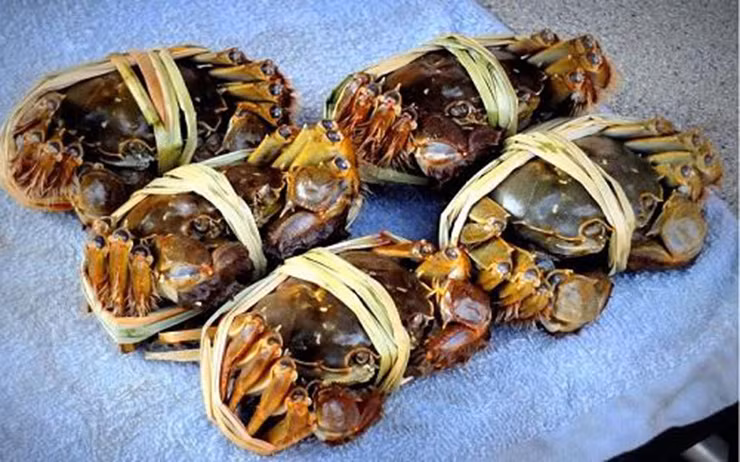 Chúng còn có những tên gọi khác là cua ra, cua sông, cua lông