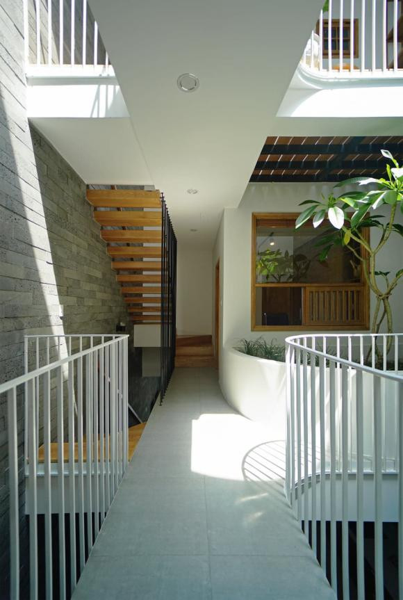 Lam sao de bo tri cay canh trong khong gian hop ly?-Hinh-23