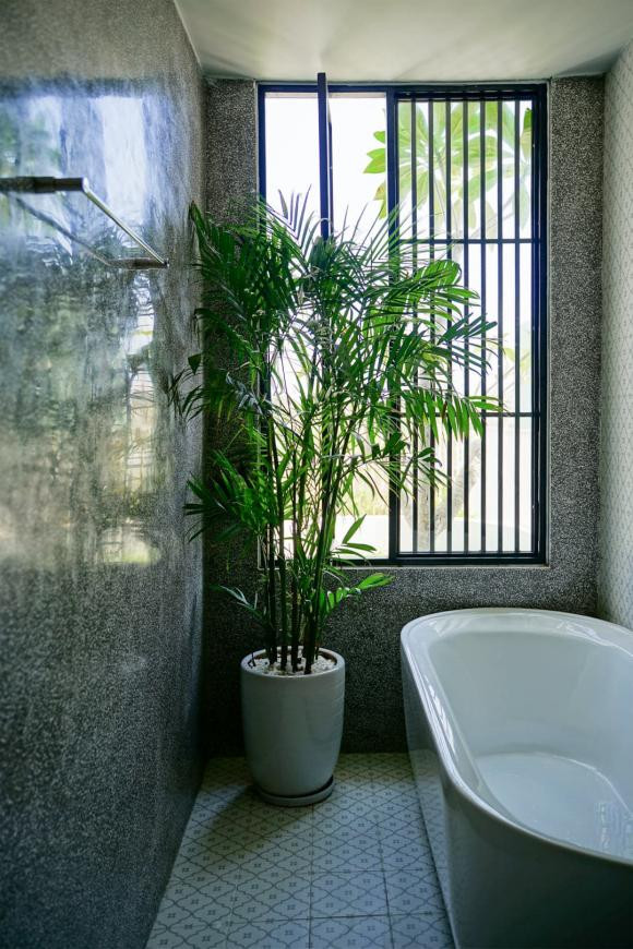 Lam sao de bo tri cay canh trong khong gian hop ly?-Hinh-7