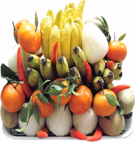 Y nghia con so 5 trong mam ngu qua