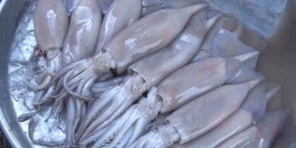 Mực được bày bán tại chợ.