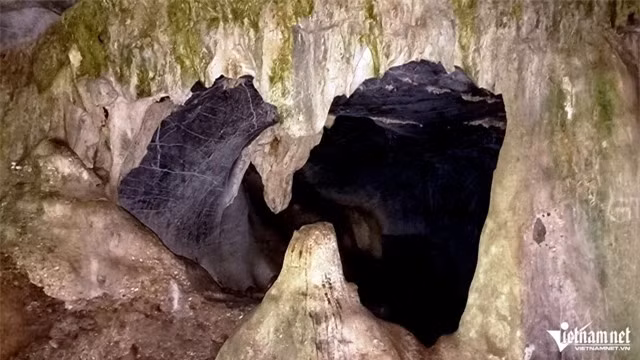 w-a3jpggggggggggggggggggggggggg-245