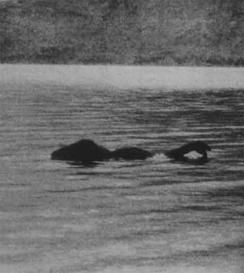 Thủy quái khổng lồ ẩn náu dưới lòng hồ, khiến người dân ám ảnh - Hình 3 Thuy quai khong lo an nau duoi long ho, khien nguoi dan am anh-Hinh-3