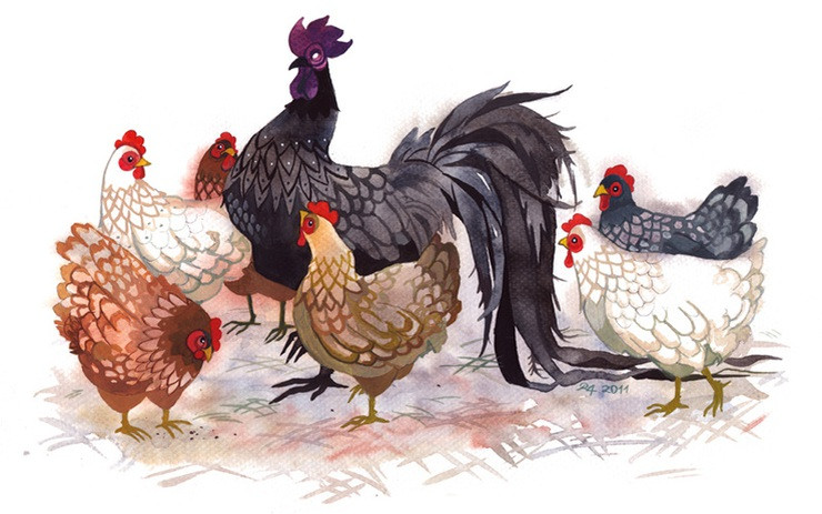 Tử vi học có nói, tháng 9 âm, tuổi Dậu sẽ chia tay vận xui, bước vào một giai đoạn bình ổn, tốt đẹp. Con giáp này sẽ nhận ra những thay đổi tích cực đến với họ mỗi ngày.