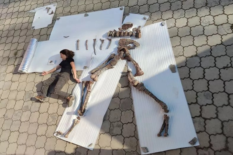 Lộ diện loài quái vật ăn thịt mới dài 8m ở Trung Á Lo dien loai quai vat an thit moi dai 8m o Trung A