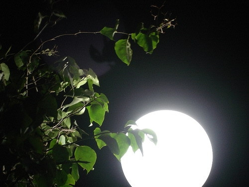 Tết Trung thu cũng là lúc Mặt trăng gần Trái đất nhất nên có “ngày nhiều mây”. Chuyên gia nhắc nhở rằng 4 con giáp không thích hợp để ngắm trăng vào “thời điểm nhiều mây”, tức là không thích hợp để chiêm ngưỡng mặt trăng quá lâu sau 5 giờ chiều.