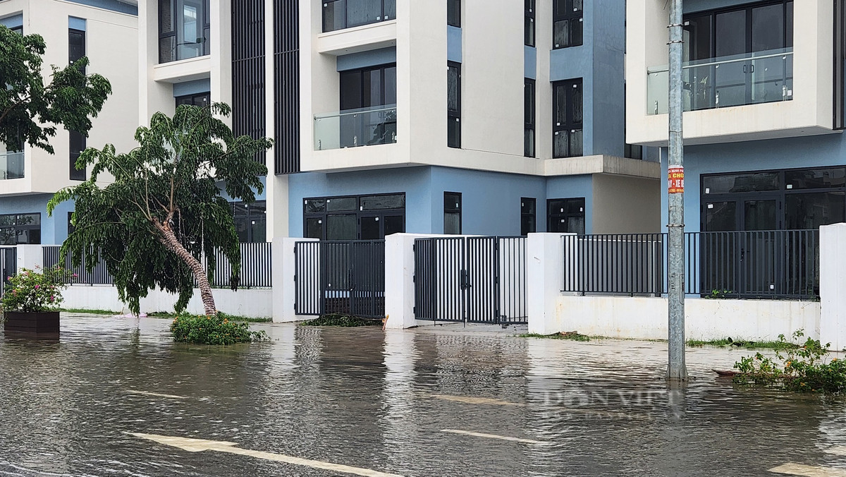 Theo Batdongsan.com.vn, giá bán phổ biến biệt thự, liền kề tại khu đô thị Dương Nội trong tháng 7/2024 là 196,2 triệu đồng/m2, cao hơn so với mức 139,5 triệu/m2 vào tháng 12/2023. Ảnh: Thái Nguyễn