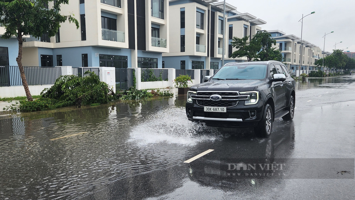 Nhiều căn biệt thự, liền kề trong khu đô thị Dương Nội vẫn bỏ trống mặc dù đã hoàn thiện từ rất lâu. Ảnh: Thái Nguyễn