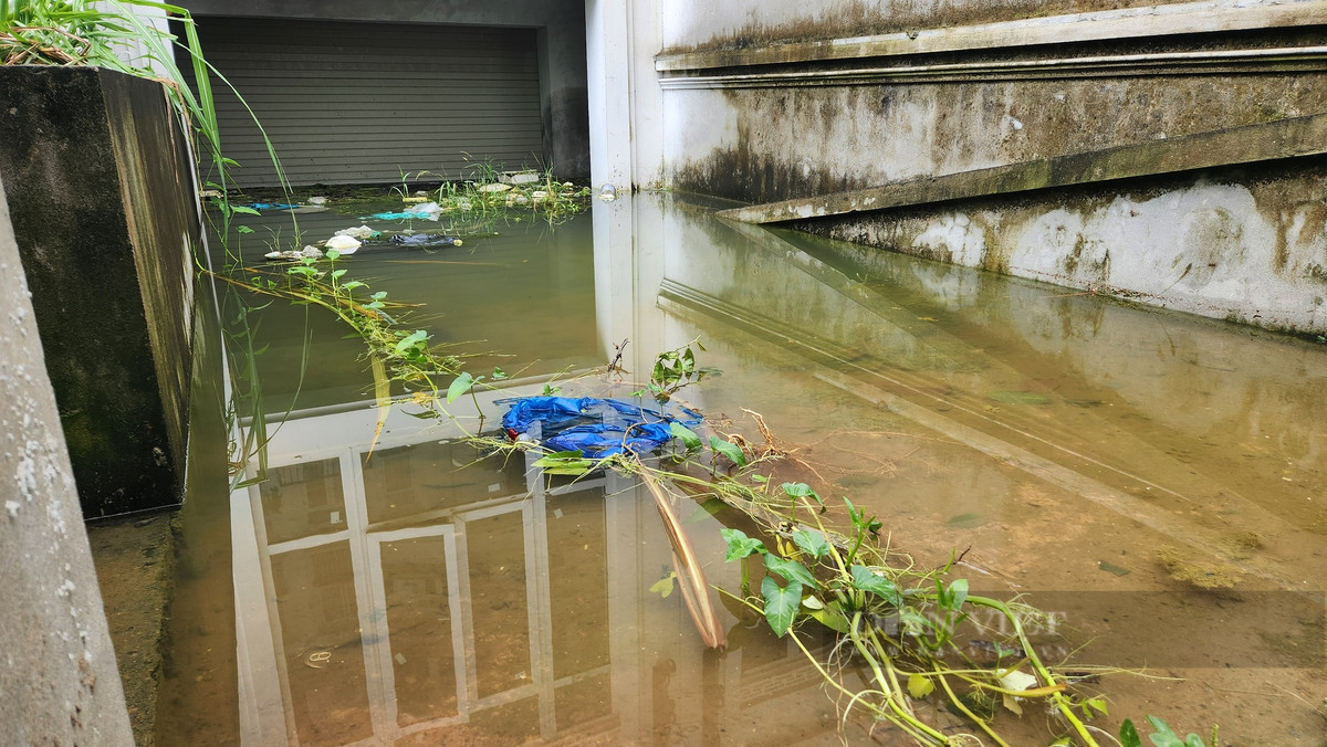 Hàng loạt căn biệt thự, liền kề của dự án có chủ đầu tư là Công ty CP Thương mại Ngôi nhà mới (thành viên của Tập đoàn Lã Vọng) bị ngập tầng hầm sau những trận mưa. Ảnh: Thái Nguyễn