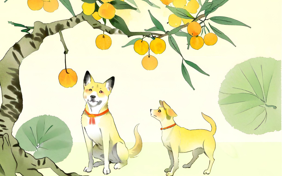 Trong tử vi học, sao Quốc Ấn là ngôi sao thuộc bộ Tứ: Phục binh, Thiên Hình, Tướng Quân, Quốc Ấn, biểu trưng cho sự thuận lợi về con đường đường công danh sự nghiệp.