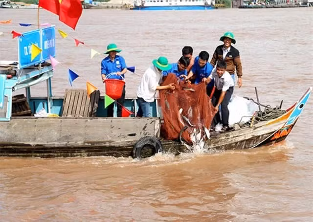 Con song ngan nhat Viet Nam so huu nhieu 'quai ngu' cuc khung