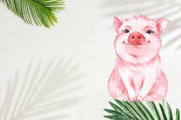  Dự đoán những người tuổi Hợi sẽ thu được những lợi ích bất ngờ mà đôi khi họ không thể nào ngờ tới. (Thông tin mang tính chiêm nghiệm)