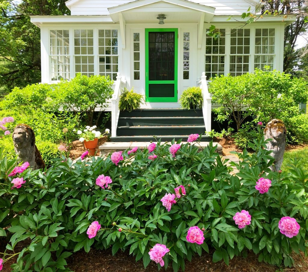 Người xưa khuyên trồng mẫu đơn trước nhà để gia đình, giàu sang, phú quý lâu dài, con cháu phát triển rực rỡ. Loài hoa này kiêu kỳ nhưng chúng lại thực sự rất dễ chăm sóc. Về vị trí đặt, bạn nên chọn cửa sổ có nắng hoặc ban công hướng Nam, thường xuyên tắm nắng cho cây. Ảnh minh hoạ tedkennedywatson 