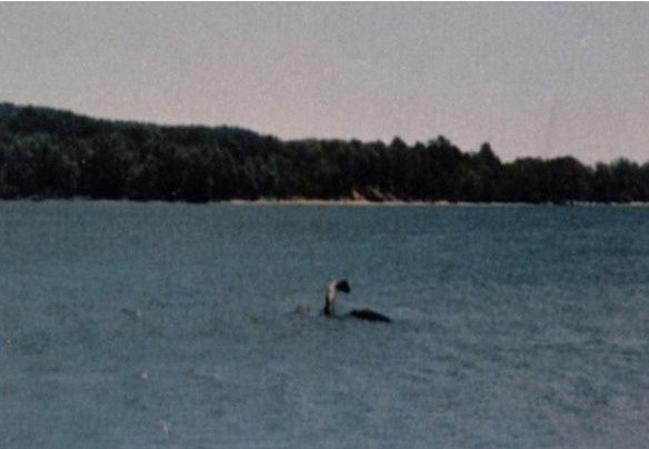 Thủy quái khổng lồ ẩn náu dưới lòng hồ, khiến người dân ám ảnh Thuy quai khong lo an nau duoi long ho, khien nguoi dan am anh