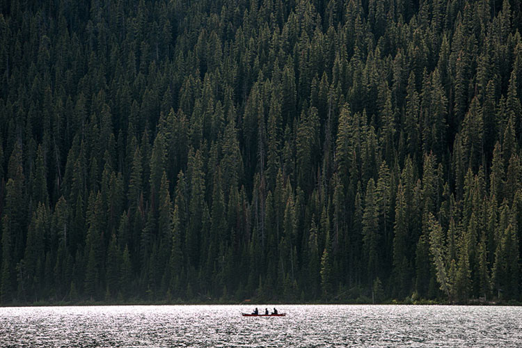 Khách du lịch chèo thuyền thưởng ngoạn vẻ đẹp thơ mộng của hồ Louise.