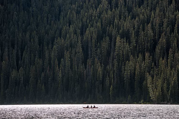 Khách du lịch chèo thuyền thưởng ngoạn vẻ đẹp thơ mộng của hồ Louise.