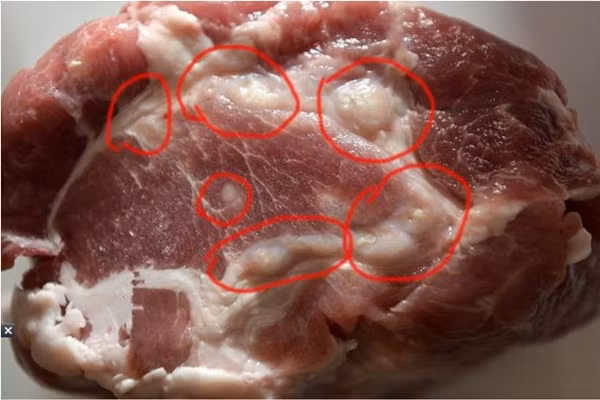 Nha nao hay an thit xay nhat dinh phai biet dieu nay-Hinh-2