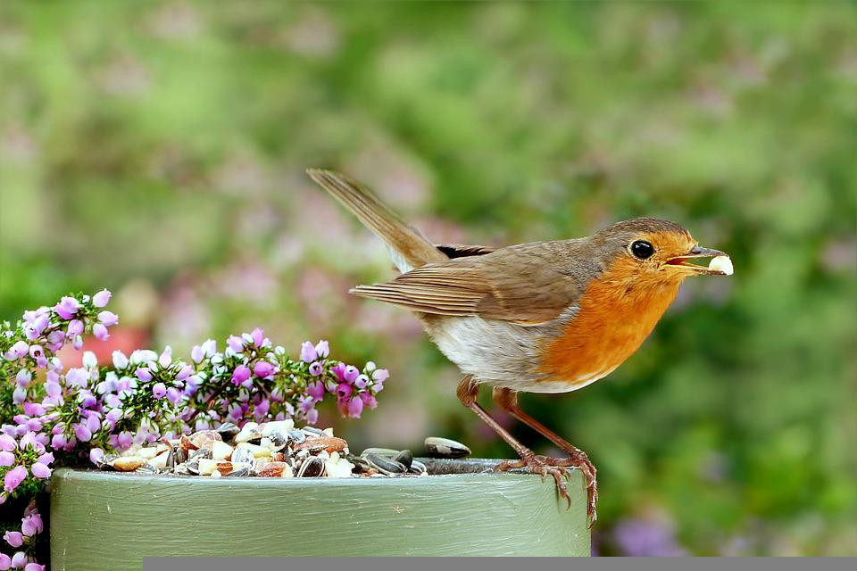 Ai sinh thang Am lich nay gioi kiem tien, tuong lai vien man-Hinh-2