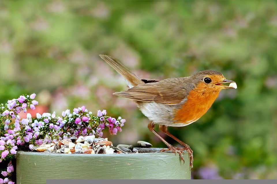 Ai sinh thang Am lich nay gioi kiem tien, tuong lai vien man-Hinh-2