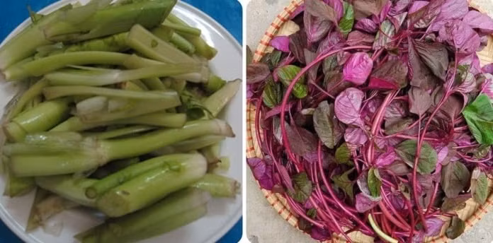 3 loai rau 'giup song lau' moc day o Viet Nam nhung it nguoi biet-Hinh-2