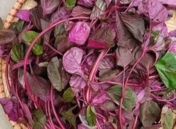 3 loai rau 'giup song lau' moc day o Viet Nam nhung it nguoi biet