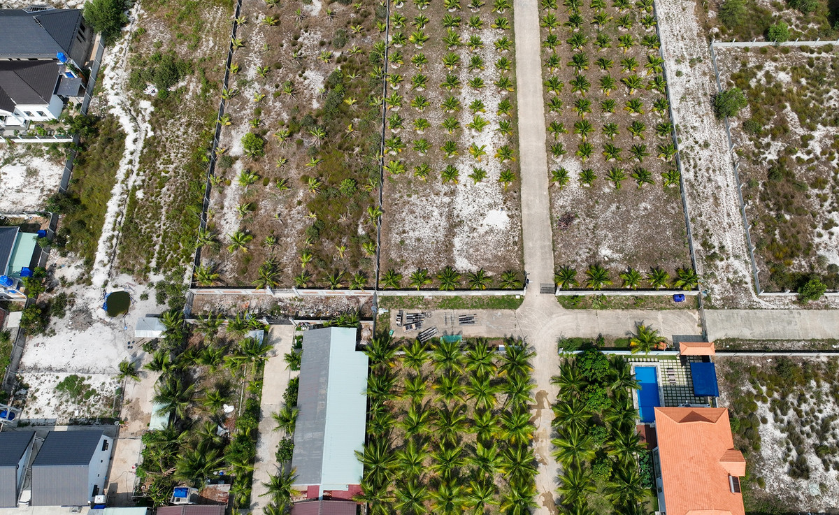 Những hàng cây dừa tạo cảnh quan, bóng mát trước đây không còn được chăm sóc. Nhiều chủ đã bứng dừa đi nơi khác để lại những khoảng đất trống loang lổ.
