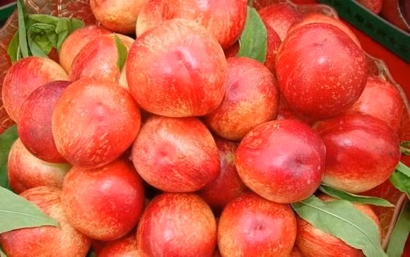 Buoc sang thang 5, 4 loai qua 