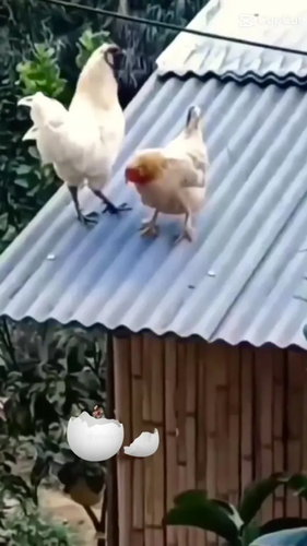 Tien dao Tottenham khoe ban gai moi theo cach 'ky la'-Hinh-3