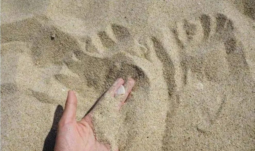 Sa mạc nhiều cát, sao không dùng để xây nhà? Sa mac nhieu cat, sao khong dung de xay nha?