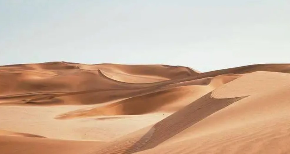 Sa mac nhieu cat, sao khong dung de xay nha?-Hinh-3