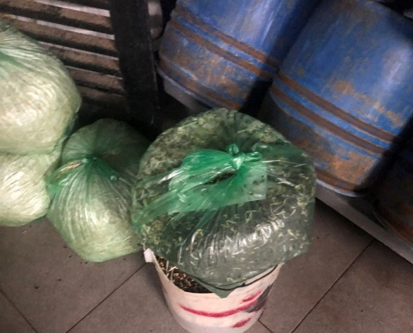 Hãi hùng 3 xưởng sản xuất giá đỗ ủ hóa chất độc hại Hai hung 3 xuong san xuat gia do u hoa chat doc hai