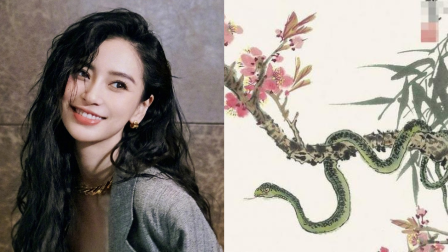 4 tuoi ngheo kho vut bay, sa chan chinh vang-Hinh-2