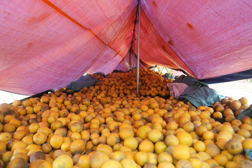 Chi tien trieu de “check-in” tai thu phu buoi Dien Ha Noi-Hinh-11