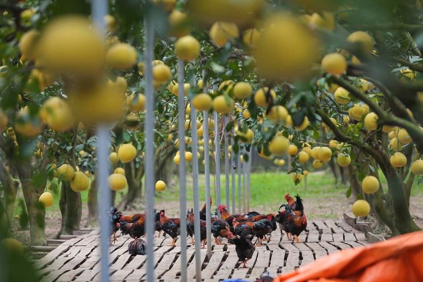 Chi tien trieu de “check-in” tai thu phu buoi Dien Ha Noi-Hinh-12
