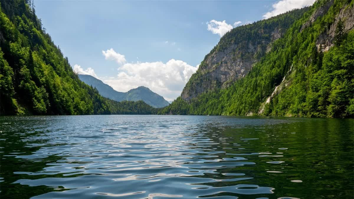 Hành trình đi tìm kho báu của Đức Quốc xã ảnh 1