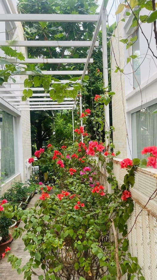 Thân Thúy Hà rục rịch chuẩn bị cho nhà cửa trước thềm năm mới - Hình 6 Than Thuy Ha ruc rich chuan bi cho nha cua truoc them nam moi-Hinh-6