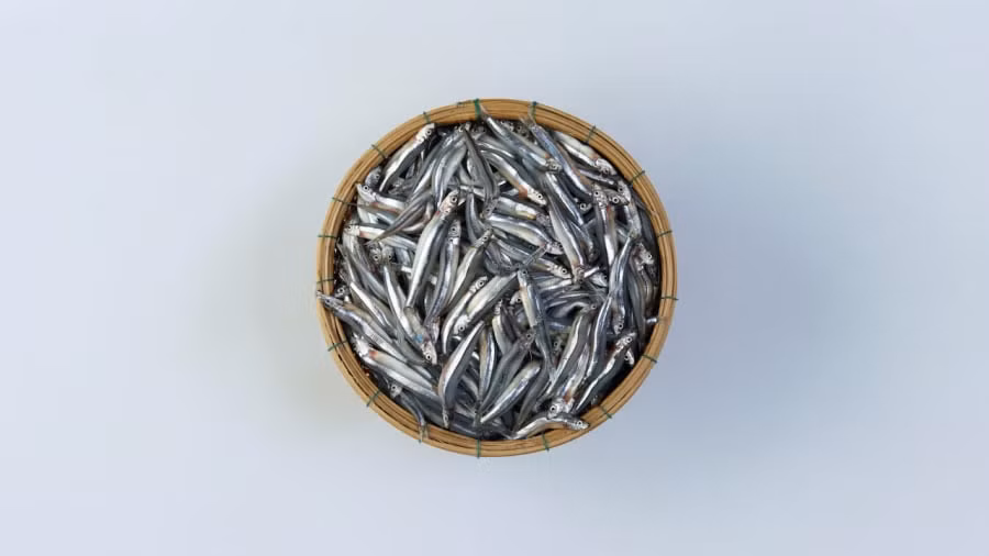 4 loai ca bien tot nhat nen an moi tuan, di cho dung tiec tien mua-Hinh-3