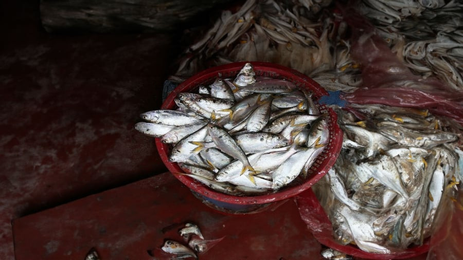 4 loai ca bien tot nhat nen an moi tuan, di cho dung tiec tien mua-Hinh-2