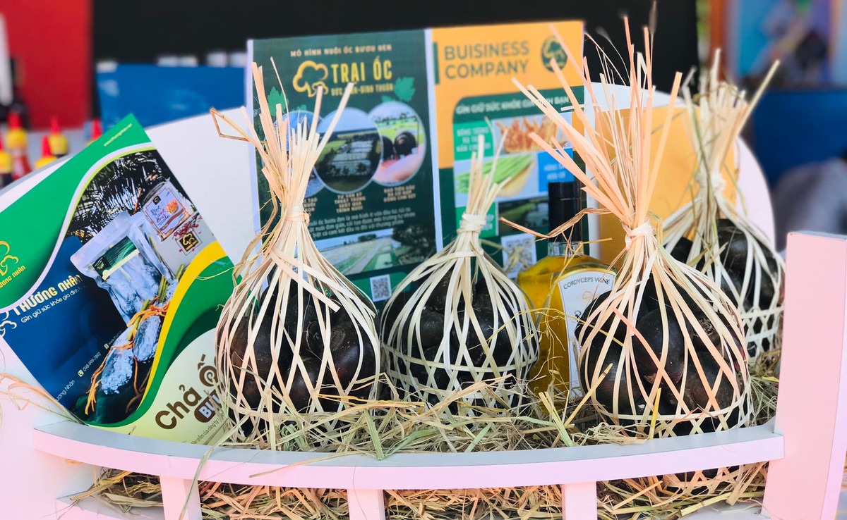 Cu nhan luat bo pho ve que nuoi oc buou den-Hinh-5