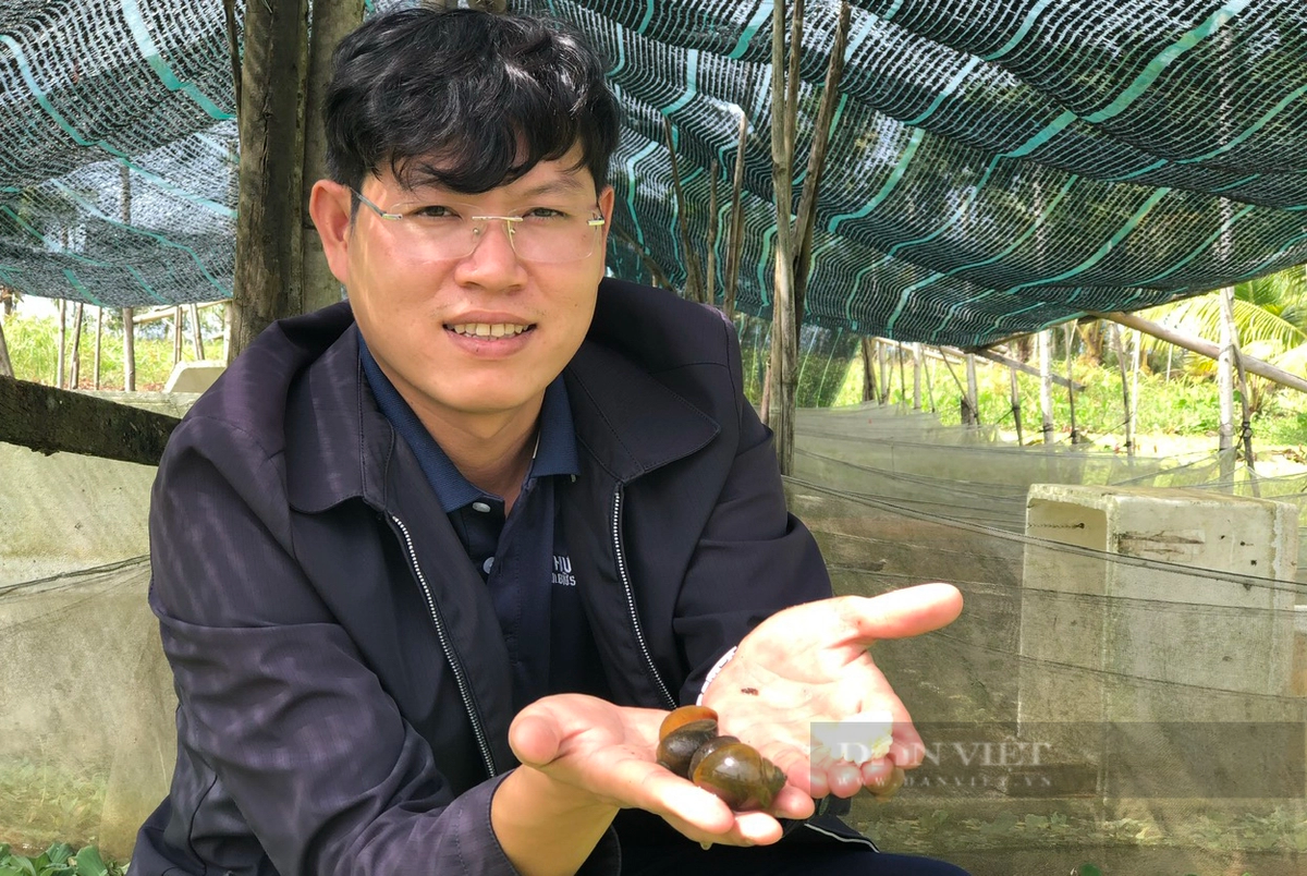 Cu nhan luat bo pho ve que nuoi oc buou den-Hinh-3