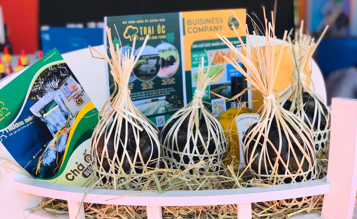 Cu nhan luat bo pho ve que nuoi oc buou den-Hinh-5