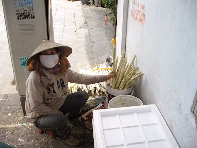 "Thật tuyệt!". Ảnh: Kayoko Akabori.