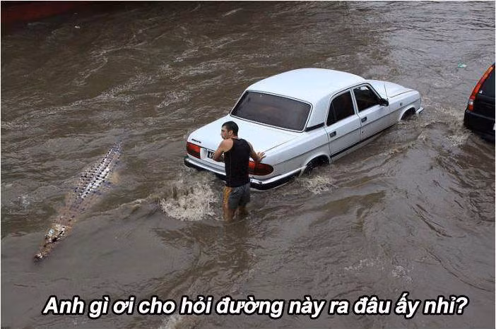 "Đi ngược chiều rồi bạn ơi, quay lại đi"