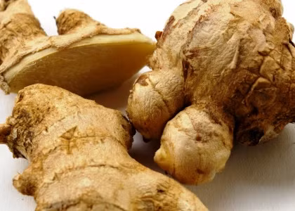 Ngậm một lát gừng khi buồn nôn bạn sẽ thấy thoải mái hơn.