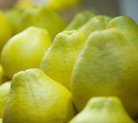 Nhiều bà bầu cảm thấy khỏe khoắn khi ăn vài múi bưởi lúc buồn nôn.