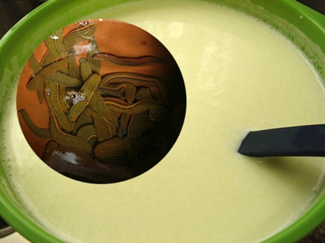 Sữa bột bị đồn có đỉa.