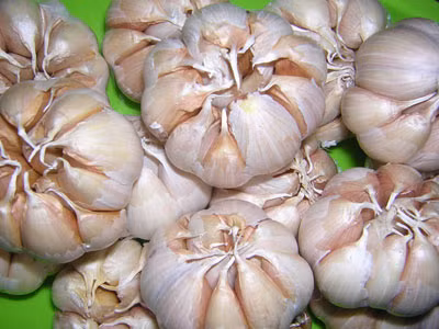 Tỏi có chứa nhiều chất chống oxy hóa và có tác dụng kháng khuẩn hiệu quả và chứa nhiều allicin là chất giúp loại bỏ độc tố.