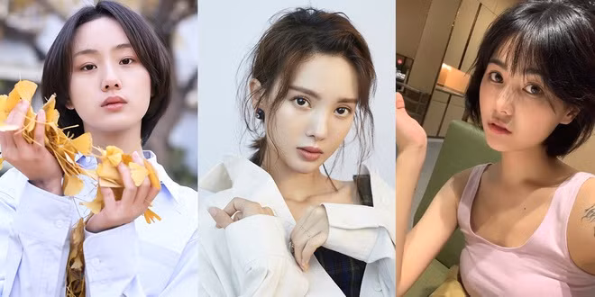 Yeu cung luc 4 phu nu, my nam showbiz Trung Quoc bi tay chay-Hinh-2