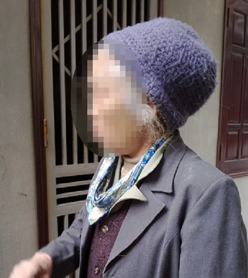 Bà Đào Thị L., mẹ kiều nữ N.