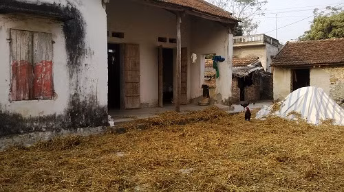 Gia cảnh nhà chị Ánh rất khó khăn.